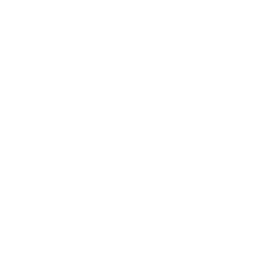 Un casa en blanco para simbolizar la adopción de un hogar